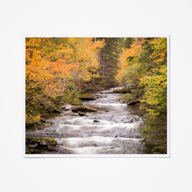 autumn river unframed